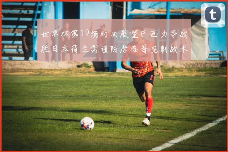 世界杯第19场对决展望巴西力争战胜日本荷兰需谨防摩洛哥克制战术